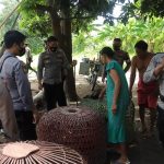Gebrakan Awal Tahun, Sat Sabhara Polres Sumbawa Kembali Grebek Sambung Ayam