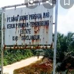 Lahan PT.SAPM Diduga Lampaui HGU, Warga Minta Pemerintah Ukur Ulang