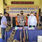 Satres Narkoba Polres Bungo Temukan 3 Hektar Ladang Ganja