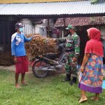 Petani 2 Desa Diwilayah Tambakrejo Senang Ada Program TMMD 110 Kodim Bojonegoro