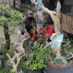 Dukung Usaha Warga, Personel TMMD 110 Kodim Bojonegoro Kunjungi Penjual Bonsai