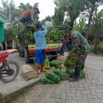 Bantu Warga, Satgas TMMD 110 Kodim Bojonegoro Angkat Pisang Dagangan
