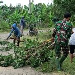 Rawan Tumbang, Pohon Penghijauan Dipangkas Satgas TMMD 110 Bojonegoro