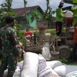 Satgas TMMD 110 Bojonegoro Berpartisipasi Dalam Kegiatan Penggilingan Padi