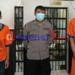 Sopir Angkot Pengedar Sabu Disergap Sat Narkoba Polres Gresik, Pengejaran Hingga ke Madura