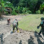 Satgas TMMD 110 Bojonegoro Beri Contoh Mbah Kardi Cara Bercocok Tanam