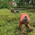 Ishoma, Ini Yang Dilakukan Anggota Satgas TMMD 110 Tambakrejo Bojonegoro