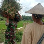 Satgas TMMD 110 Bojonegoro Berikan Pengetahuan Pakan Ternak Kepada Warga
