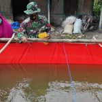 Budidaya Ikan Lele, Satgas TMMD 110 Bojonegoro Tinjau Kolam Milik Warga