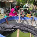 Jelaskan Manfaat Ikan Lele, Ini Yang Dilakukan Satgas TMMD 110 Bojonegoro
