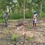 Sebelum Tanam Kacang, Satgas TMMD 110 Bojonegoro Bantu Petani Semprotkan Obat Rumput