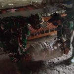 TMMD 110 Bojonegoro, Satgas Bantu Lasinem Angkat Singkong Sekarung
