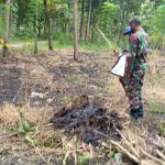 Satgas TMMD 110 Bojonegoro Semprot RumputGuna Peningkatan Produksi Pertanian