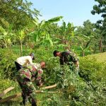 Satgas TMMD 110 Bojonegoro Manfatkan Kayu Disekitar Untuk Pagar