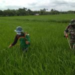 Tingkatkan Hanpangan, Satgas TMMD 110 Bojonegoro Lakukan Penyemprotan Hama Pertanian