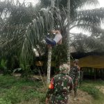 Ganggu Proses Pelebaran Jalan, Kabel Listrik Dipindahkan dari Lokasi TMMD