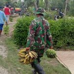 Satgas TMMD 110 Bojonegoro Panen Pisang Bersama Warga