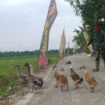 Agar Sehat dan Nyaman, RTLH Aladin Dikerjakan Satgas TMMD Bojonegoro Bareng Warga