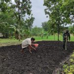 Satgas TMMD Kodim Bojonegoro Bantu Warga Tanam Kacang Tanah