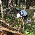 Satgas TMMD 110 Kodim 0415/BTH Bantu Warga Panen Jengkol