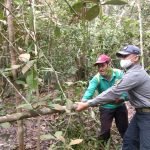 Kapenrem 042/Gapu Tinjau Pengerjaan Jalan Penghubung Dua Desa Program TMMD 110 Kodim 042/BTH