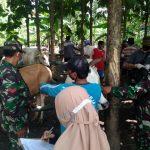 Satgas TMMD Kodim Bojonegoro Bantu Mendata Sapi Ternak