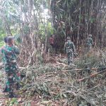 TMMD Kodim Bojonegoro, Babinsa Koramil Tambakrejo Bikin Pagar Bambu Rumah Warga