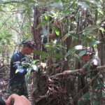 BPD Sungai Terap Sumbangkan Lahan Pohon Palagas kepada Satgas TMMD 110 Kodim 0415/BTH