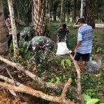 Panen Jengkol, Satgas TMMD 110 Kodim 0415/BTH Bantu Warga Mekar Jaya