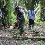 Danton Satgas TMMD 110 Kodim 0414/BTH Gunakan Chainsaw untuk Pembuatan Galar