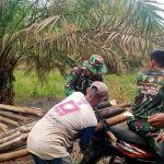 Meski Hari Libur Satgas TMMD 0415/BTH Tetap Semangat Cari Kayu Galaran