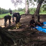 Rawat Kelestarian Lingkungan, Satgas TMMD Kodim Bojonegoro Dan Masyarakat Bersih-Bersih Punden