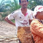 Saat Mencari Kayu Galar, Satgas TMMD Bersama Warga Temukan Sarang Lebah Hitam