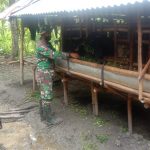 Satgas TMMD Bojonegoro Dampingi Masyarakat Peternak Kambing