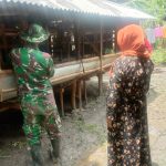Ungkapan Bu Darminto, Saat Dibantu Anggota Satgas TMMD Bojonegoro