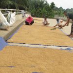 Satgas TMMD Kodim 0415/BTH Bantu Emak-emak Sungai Terap Jemur Padi