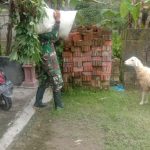 Satgas TMMD Bojonegoro Bantu Warga Bawakan Pakan Ternak