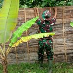 Satgas TMMD Bojonegoro Bongkar Dinding Kayu Rumah Warga Penerima Program Aladin
