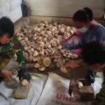 Pengepul Porang Merasa Senang Dibantu Satgas TMMD Bojonegoro
