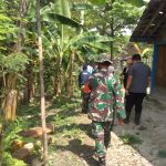 Babinsa Jatimulyo Dampingi Petugas Disnakkan Bojonegoro Kunjungi Kelompok Peternak