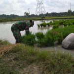 Satgas TMMD Bojonegoro Dukung Swasembada Pangan Masyarakat