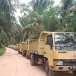 Puluhan Mobil Dump Tanah Disiapkan untuk Penimbunan Jalan