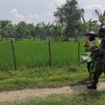 Komsos Satuan Tugas TMMD Bojonegoro Sasar Warga Dusun Ngrambah