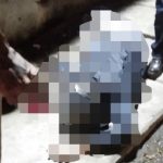 Bekas Galian PDAM Di Jalan Kamal Raya Kembali Memakan Korban