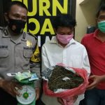 Sempat Dibuntuti, OAAA Berhasil Diamankan Polsek Tanjung Balai Utara Beserta BB Diduga Ganja Setengah Kilo