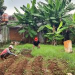 Rutan Serang Manfaatkan Lahan Kosong Untuk Bercocok Tanam