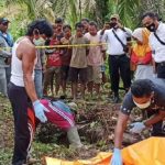 Lama Hilang, Seorang Nenek Ditemukan Sudah Menjadi Kerangka di Kebun Sawit