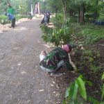 Hijaukan Lingkungan, Satgas TMMD Bojonegoro Tanam Ratusan Pohon Di Ruas Jalan Poros Desa