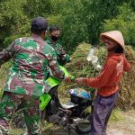Luangkan Waktu, Satgas TMMD Bojonegoro Bantu Jumadi Cari Jerami Pakan Sapi