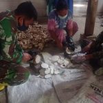 Satgas TMMD Bojonegoro Belajar Pengolahan Iles-Iles Hingga Siap Kirim